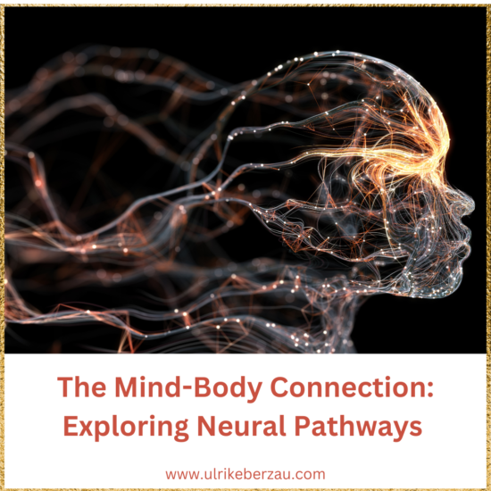 Exploring Neural Pathways
