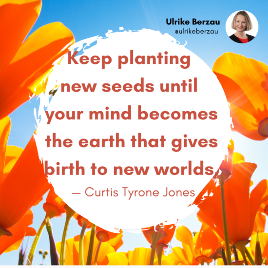 Planting the Seeds for a Flourishing Life 
